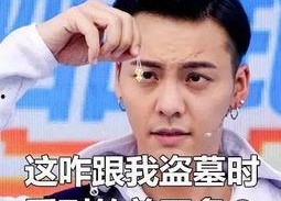 陈伟霆小人表情包,萌态可掬，笑点满满