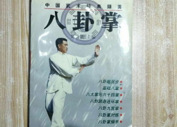 经典八卦掌,古韵武学，动静之间蕴天地精华