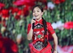 王二妮的个人资料,从乡村歌坛新星到民族音乐传承者的蜕变之路